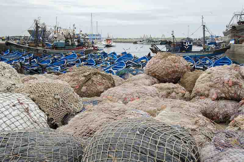 292 - Marruecos - Essaouira - puerto pesquero